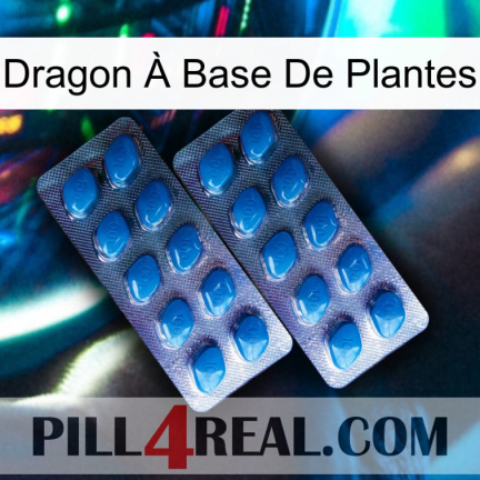 Dragon À Base De Plantes viagra2